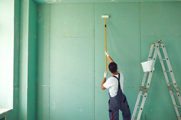 Trusted Vonore, TN Mold Removal Experts
