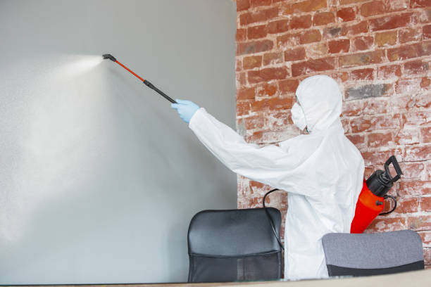 Best Emergency Mold Remediation  in Vonore, TN