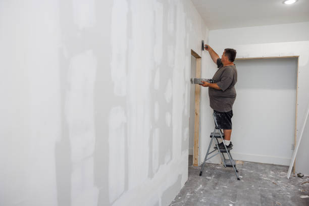 Best Comprehensive Air Testing for Mold Contaminants  in Vonore, TN