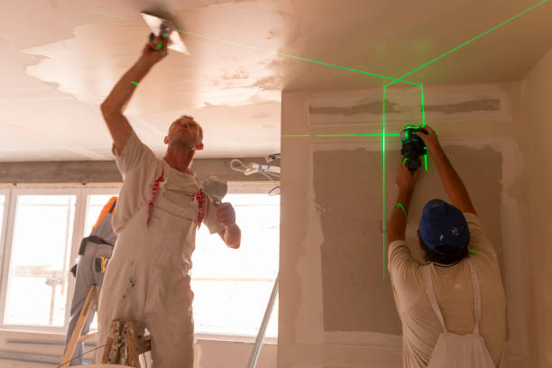 Best Attic Mold Removal  in Vonore, TN