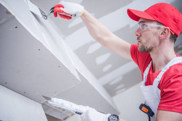 Best Black Mold Removal  in Vonore, TN